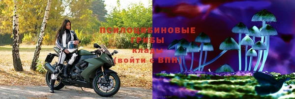 прущие крисы Алзамай