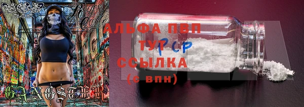 скорость Гусев