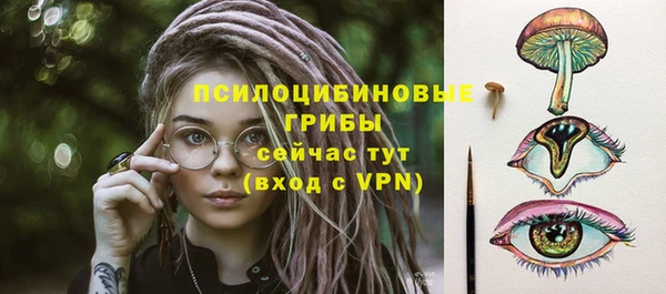 трава Инсар