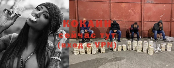 прущие крисы Алзамай