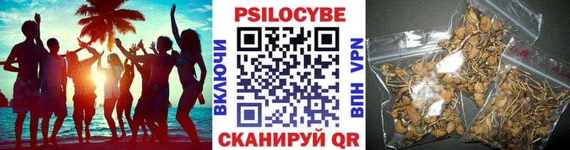 Псилоцибиновые грибы MAGIC MUSHROOMS  купить наркотик  дарк нет формула  Оханск 